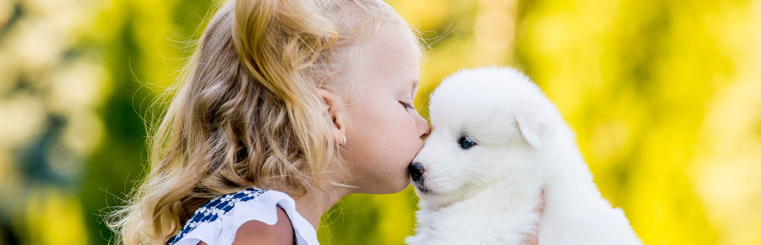 Canine Wellness Care Services Veterinary Services Chapel Hill, TN